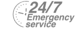 24/7 Emergency Service Pest Control in Tooting, SW17. Call Now! 020 8166 9746